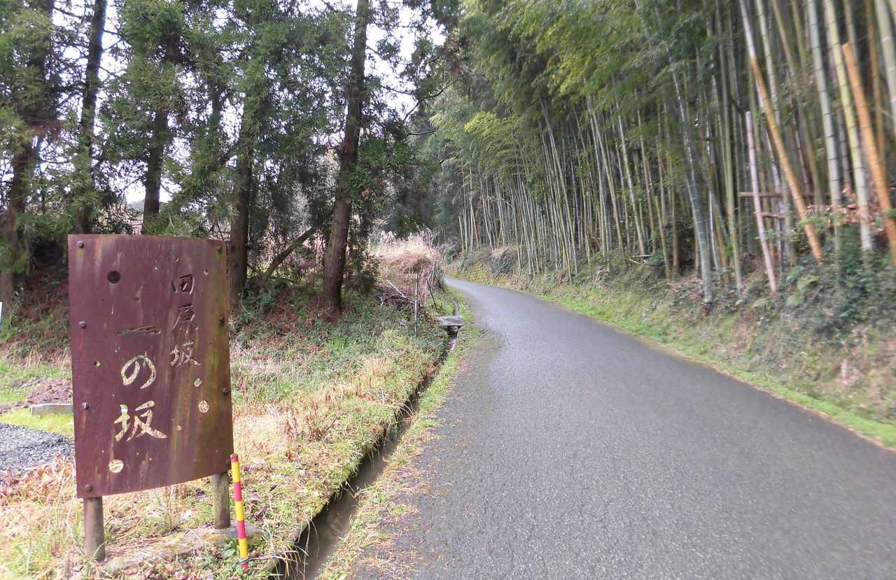 熊本 田原坂 西郷さんはなぜ西南戦争を起こしたのか 大分で遊ぼう 熊本 田原坂 西郷さんはなぜ西南戦争を起こしたのか 大分で遊ぼう