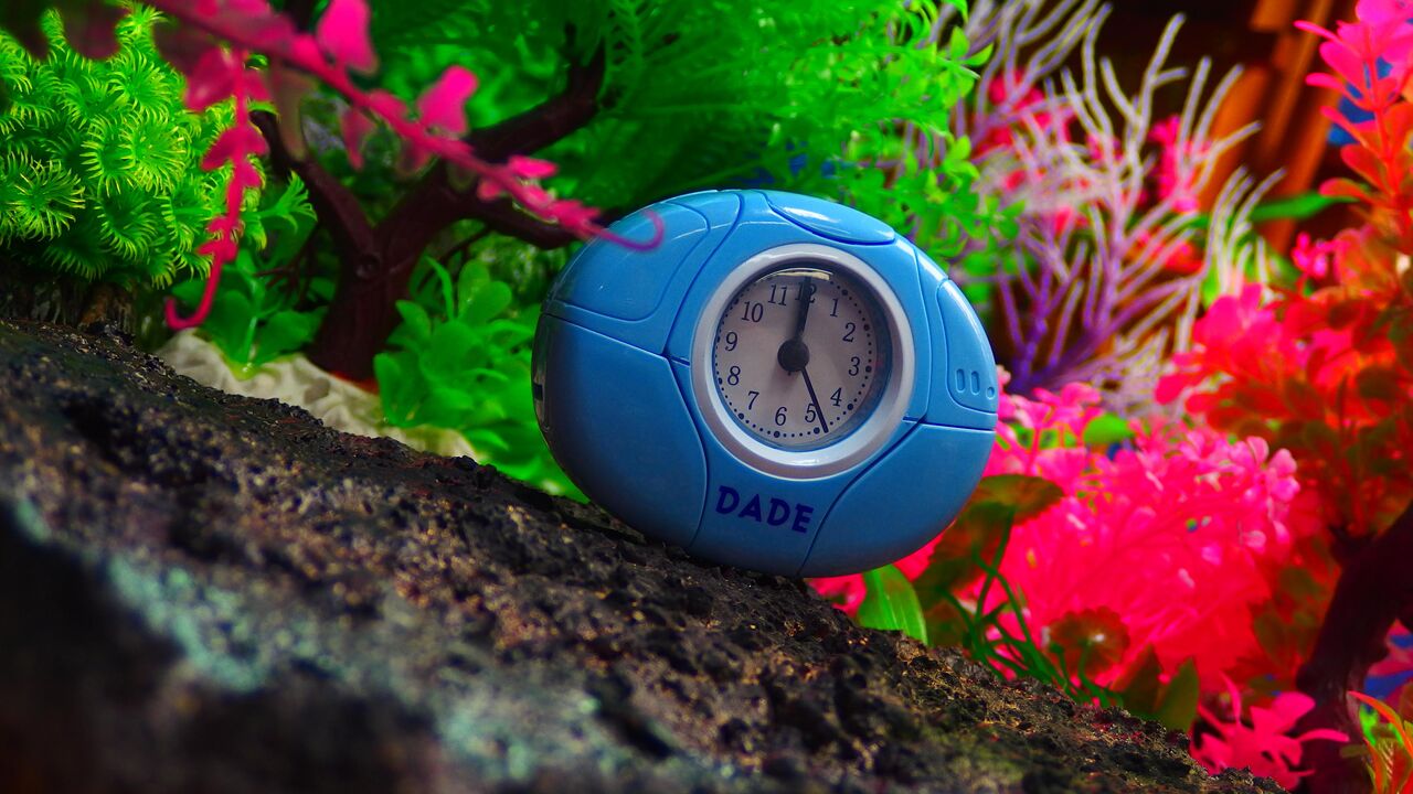 入手 机器人 变形闹钟 虎尖蜂 水色 ロボット変形目覚まし時計 タイガービー 才も不才もまた各々その子と言うなり 世界の トランスフォーマー 韓国中国フックトイいんちきパチ物インディー特撮アメトイのギャラリー