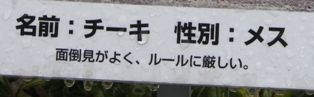 C看板