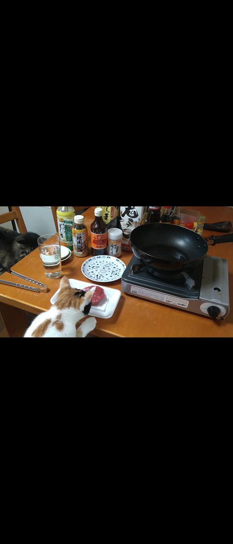 Screenshot_20241127-123549