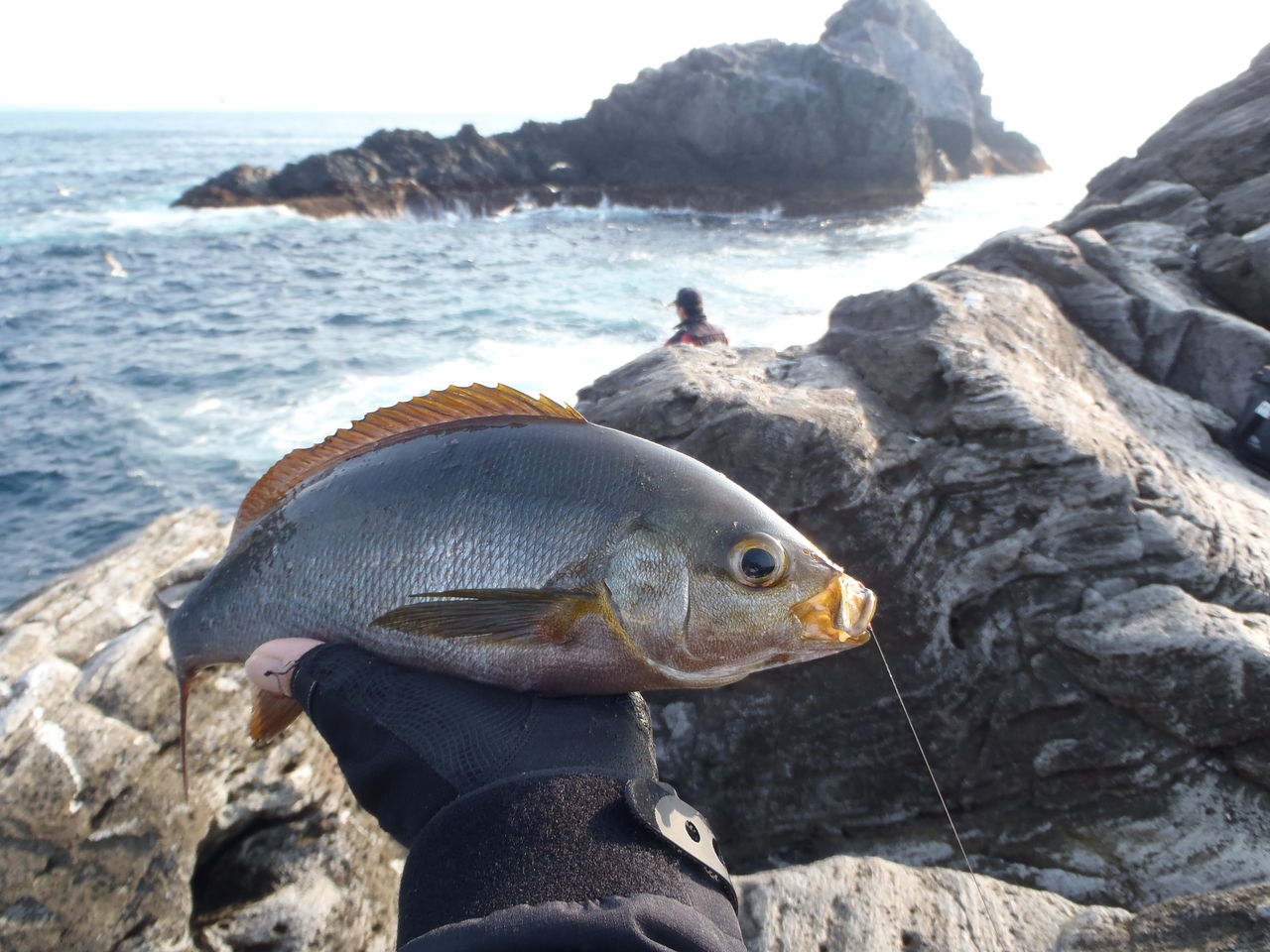 伊豆諸島 神津島の磯釣り なんでも釣り師の釣行記