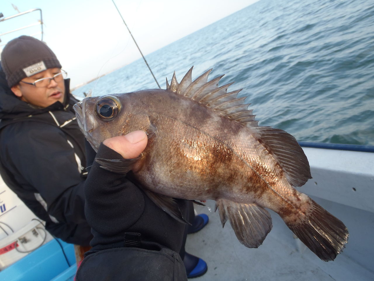有明海 メバルとヒラメ なんでも釣り師の釣行記 有明海 メバルとヒラメ なんでも釣り師の釣行記