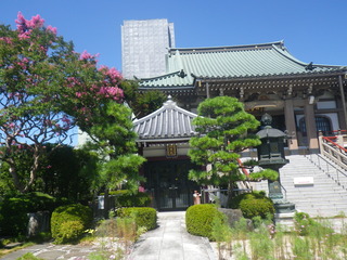 IMGP5179