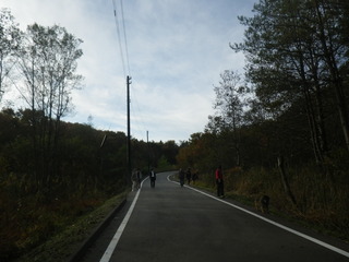 IMGP4873