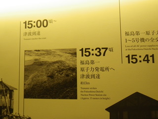 IMGP4888