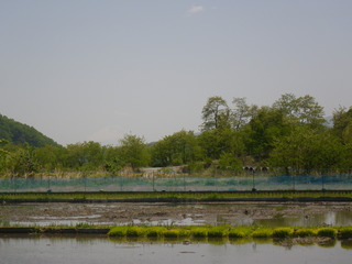 IMGP5113