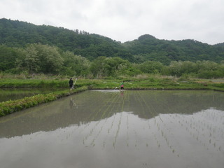 IMGP4968