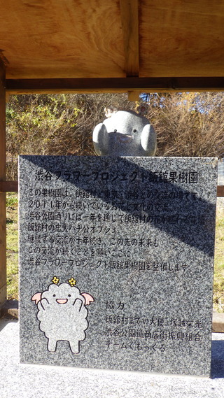 RIMG5081