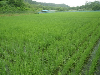 IMGP5128