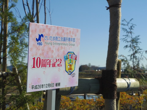IMGP3191