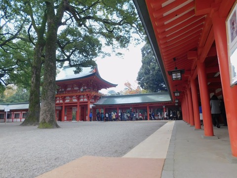 DSCN4332