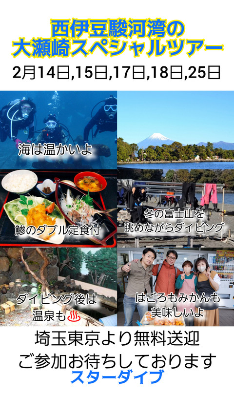 InShot_20240212_111643800