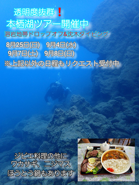 InShot_20240819_061841540 (1)