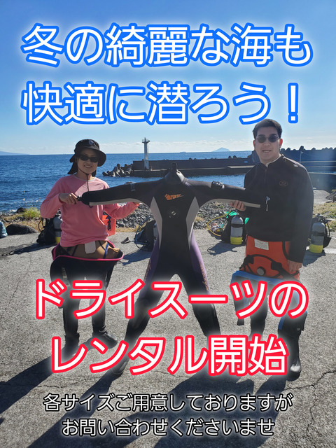 InShot_20241203_165846257