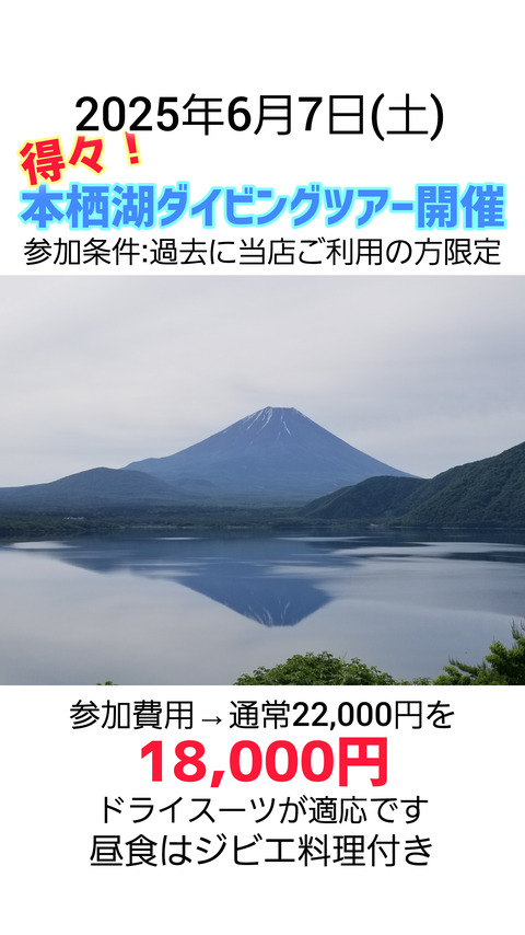 InShot_20250228_165858235