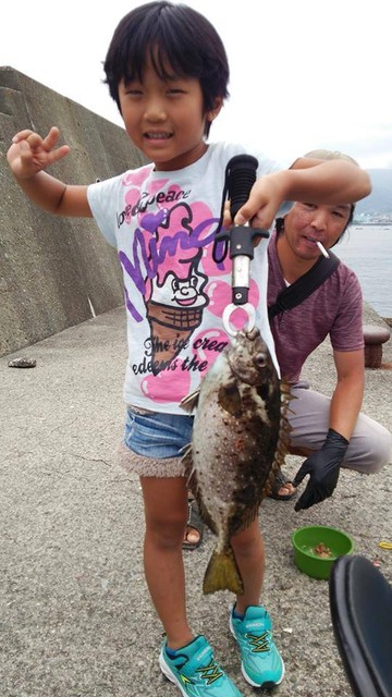藍子 アイゴさんのお刺身を食べてみよう 毒針注意です 日本さかな検定 ととけん流 スターダイブのブログ