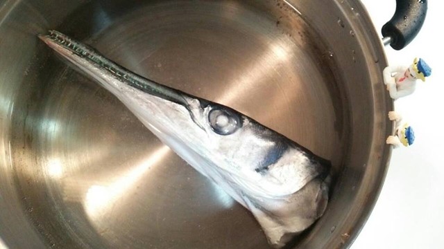 危険魚 駄津 ダツ を食す 骨格標本作りへ Byスターダイブ 日本さかな検定 ととけん流 スターダイブのブログ