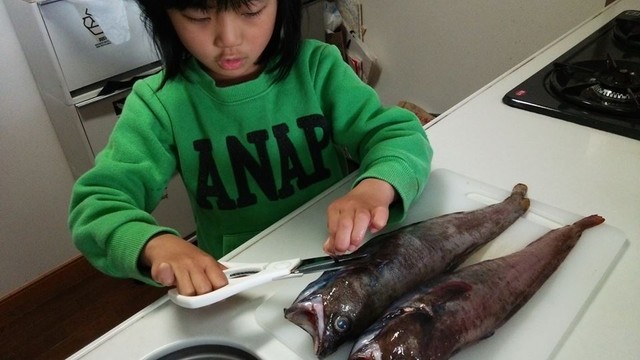 深海トロール船より ドンコさんの浮き袋にギョギョギョ ゞ 日本さかな検定 ととけん流 スターダイブのブログ