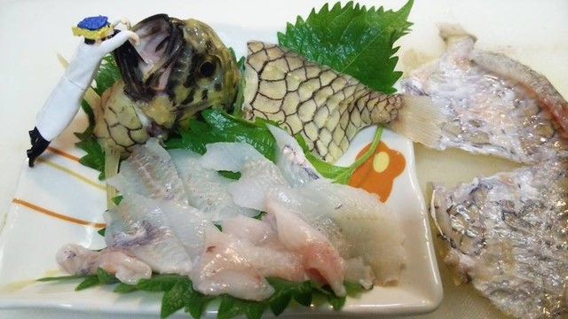 マツカサウオの生食に挑戦へ 英名 パイナップルフィッシュ 日本さかな検定 ととけん流 スターダイブのブログ