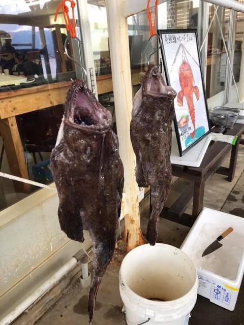 第７弾 スターダイブの あんこうの吊るし切り 鍋祭り ｉｎ西伊豆 獅子浜 日本さかな検定 ととけん流 スターダイブのブログ