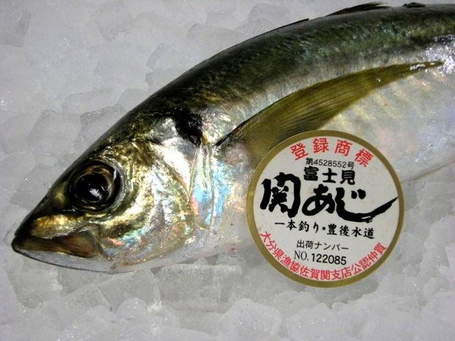 豊後水道 佐賀関 自宅で関アジのラーメンを作りました 日本さかな検定 ととけん流 スターダイブのブログ