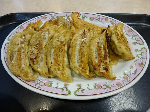 gyoza_torikara2