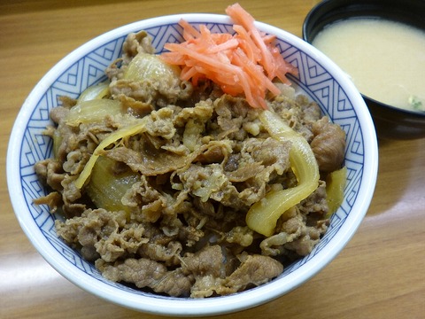 gyudon201502