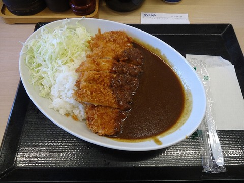 katsu_curry_sakiware_spoon_2023