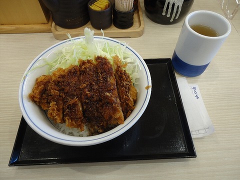 saucekatsudon_2023feb