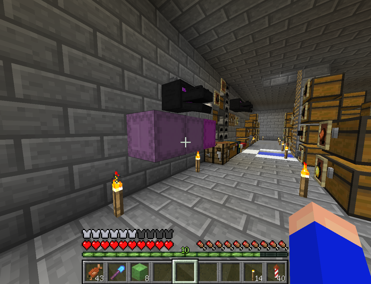 Minecraft エリトラをゲットしにいくぞ サイタマキイロの記憶保管庫 Minecraft エリトラをゲットしにいくぞ サイタマキイロの記憶保管庫