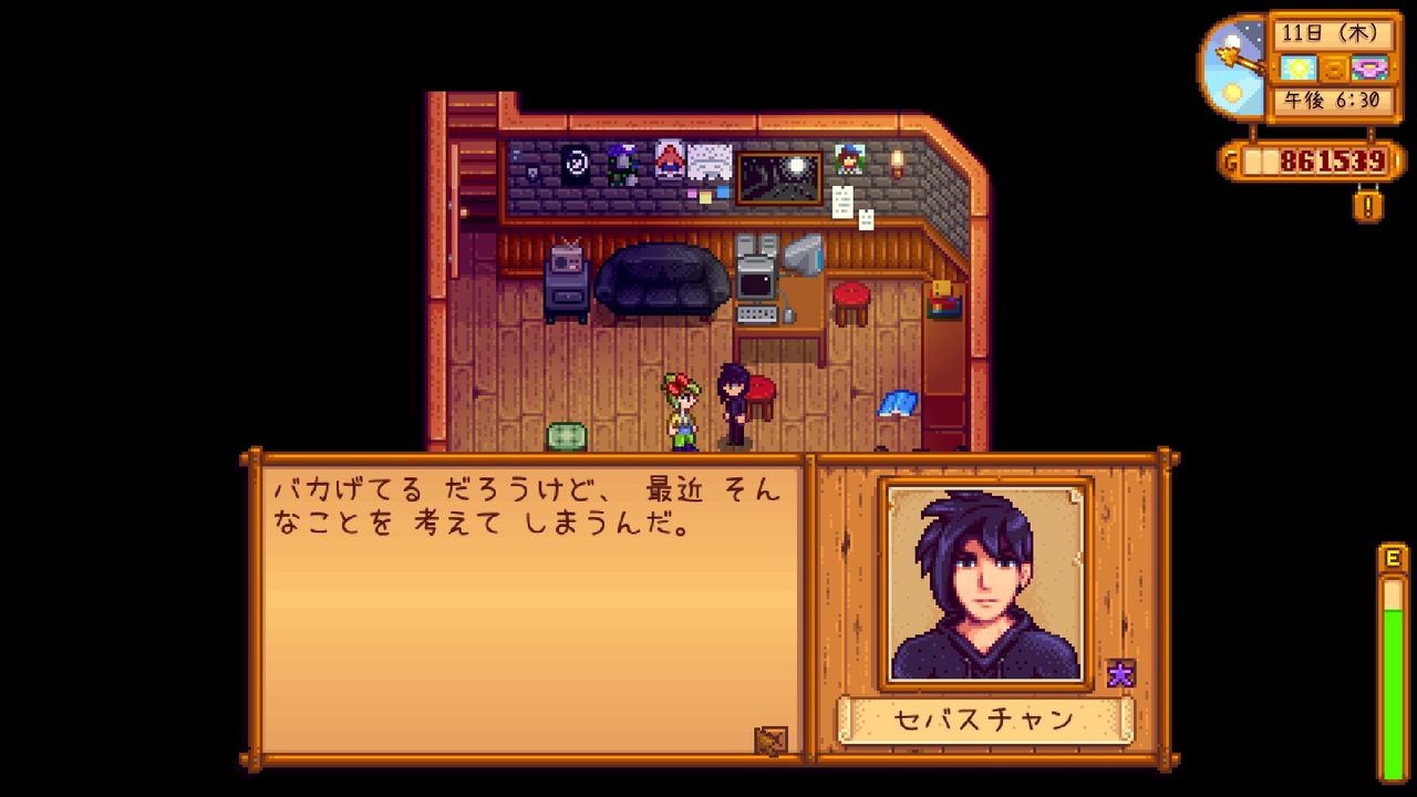 Stardew Valley シェーンのイベントとセバスチャンのラブラブ会話 サイタマキイロの記憶保管庫
