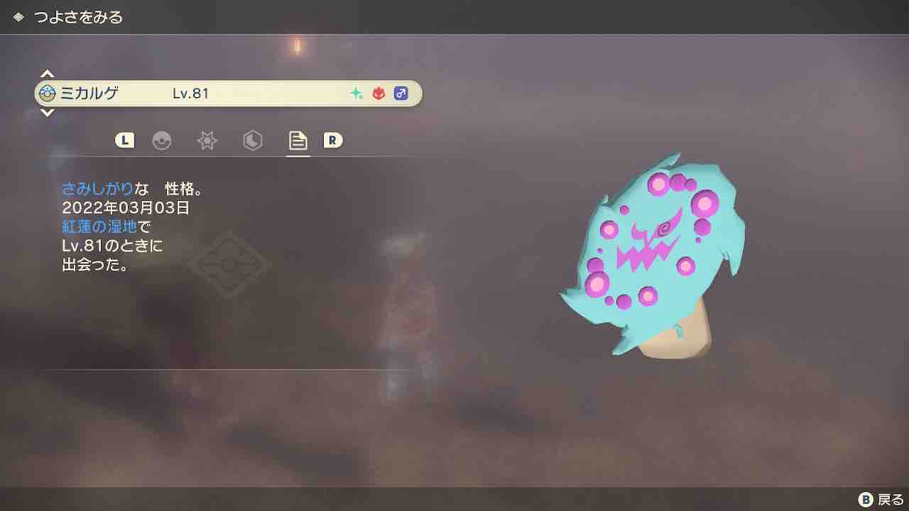 動画を参考に大大大発生で色違いオヤブンミカルゲをゲット サイタマキイロの記憶保管庫