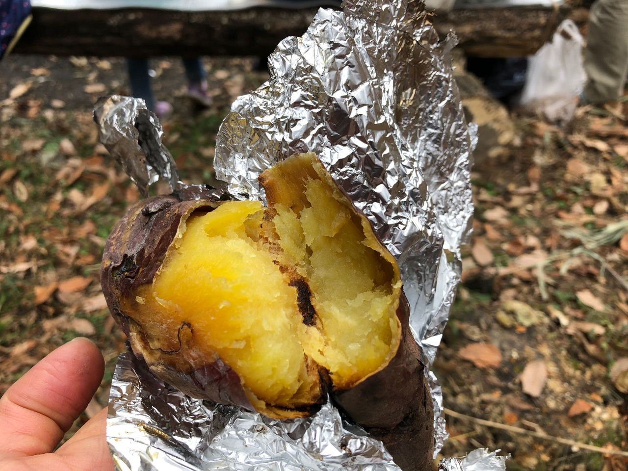 Saitama 埼玉 暮らしと本が最強なワケ 落ち葉を掃い て焼き芋を食べる だけのつもりがトレッキングに近かったので疲れた でも楽しい１日の親子体験 東松山市民の森 落ち葉を掃いて焼き芋を食べよう