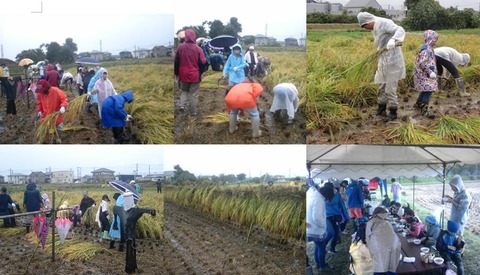 10-21�𴢤��θ�