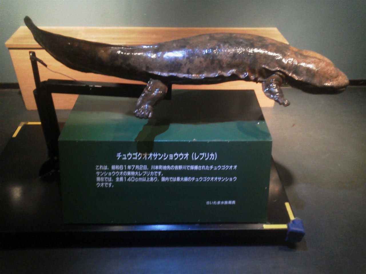 埼玉の水族館はちょっと特殊なのですよ さいたま水族館探訪記 その１ さいたまのたぬきのblog