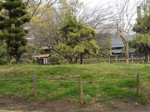 DSCN0697