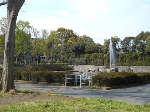 DSCN0651