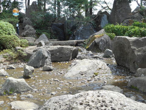 DSCN0696