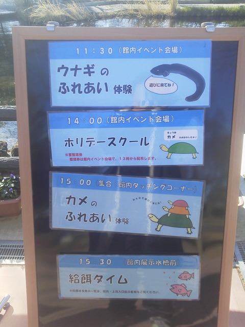 DCIM1231