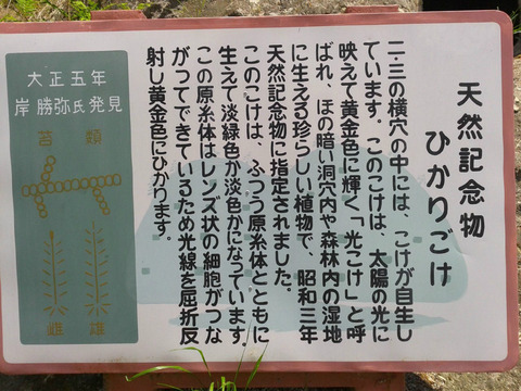 BlogPaint