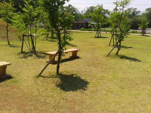 DCIM0097 (2)