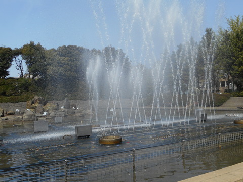 DSCN0666