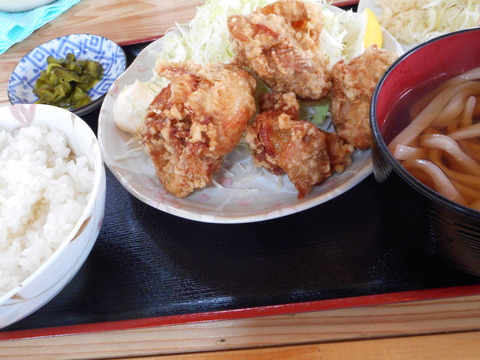 DSCN0088