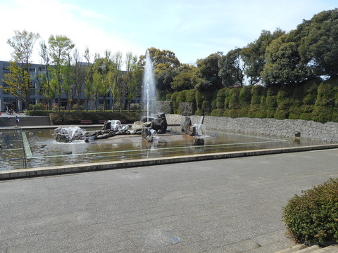 DSCN0655