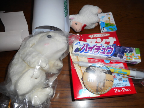 DSCN0396