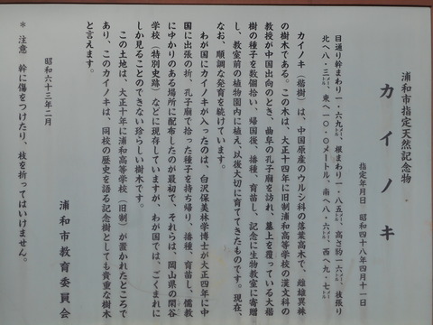 DSCN0690
