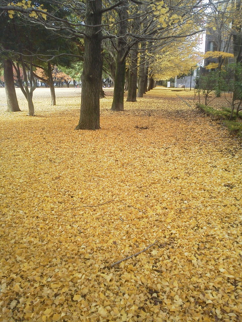 DCIM1006
