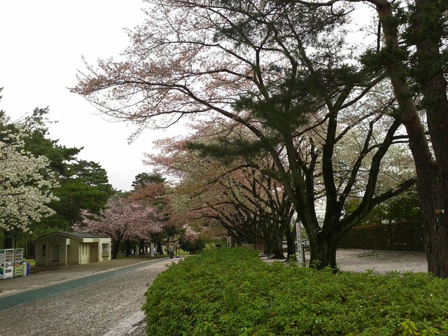 DCIM0113