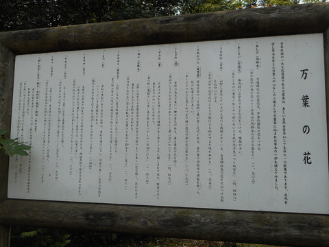 DSCN0692