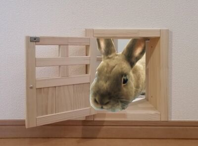 うさぎトンネル さいたま市の家具と室内ドアの店